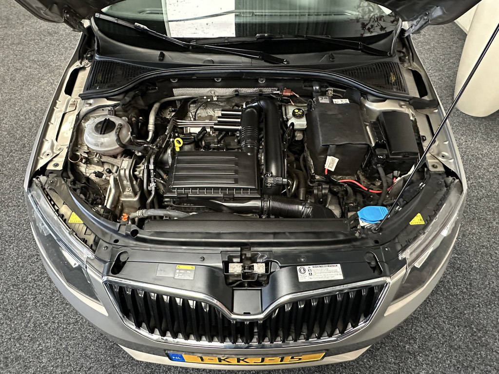 41486501-46.jpg